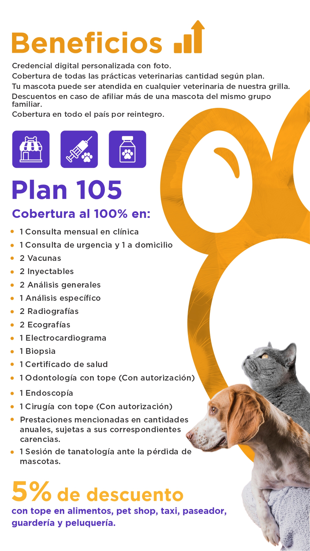 Imagen del PLAN 105