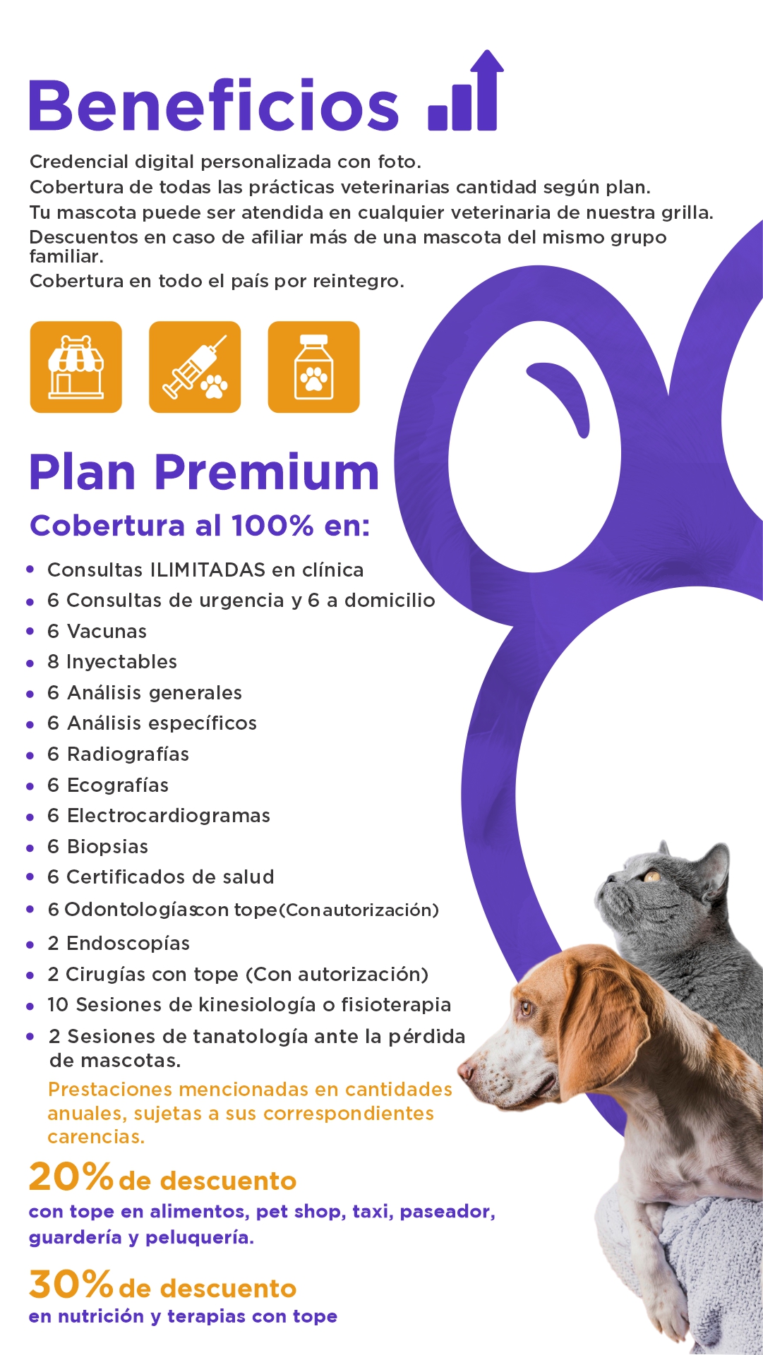 Imagen del PLAN PREMIUM